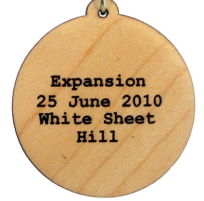 Expansion Wood Pendant
