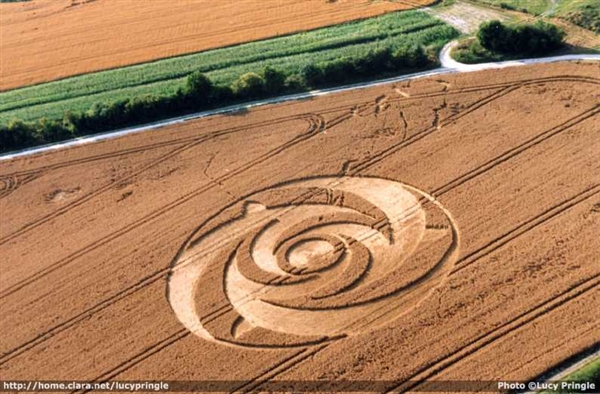 Dolphins Rhodochrosite 01 Gemstone Pendant